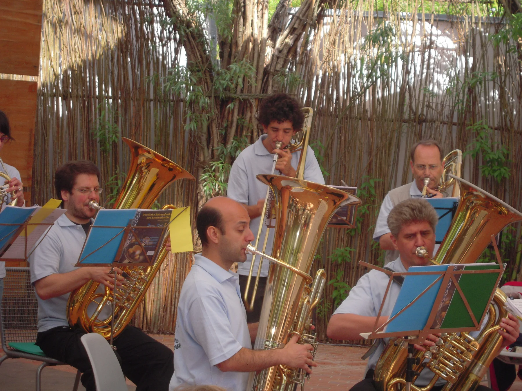 Cinco músicos tocando tubas y trombones entre las ramas entrelazadas del Weidendom de Rostock